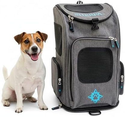 Sherpa 2-in-1 Medium Pet Backpack & Carrier by Sherpa