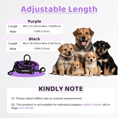 Double Dog Leash - Image 2