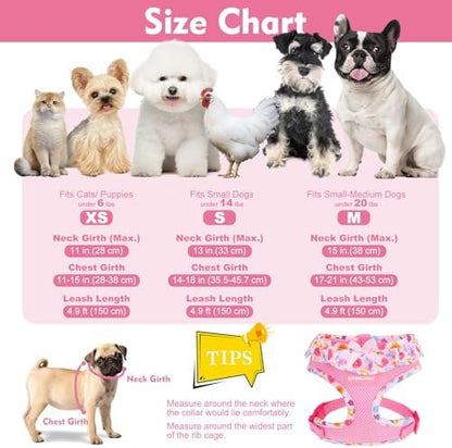 EXPAWLORER Step-in Dog Harness Small Sized and Leash Set - Image 2