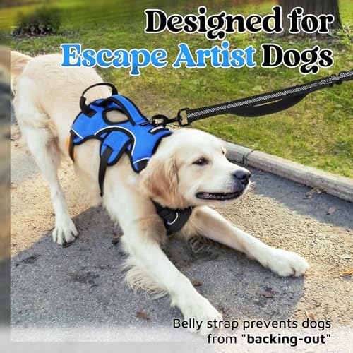 rabbitgoo Escape Proof Dog Harness - Image 2