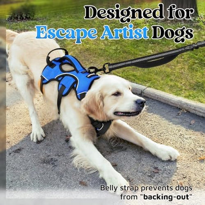 rabbitgoo Escape Proof Dog Harness - Image 2