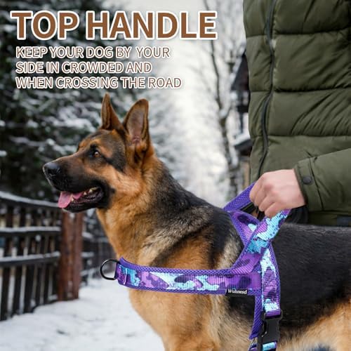 No Pull Dog Harness and Leash Set - Image 6