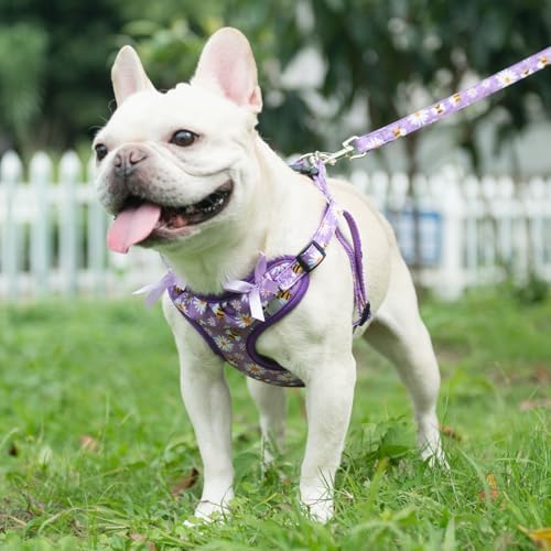 PUPTECK Dog Harness and Leash Set Small Sized, Step in No Pull Adjustable Puppy - Image 5