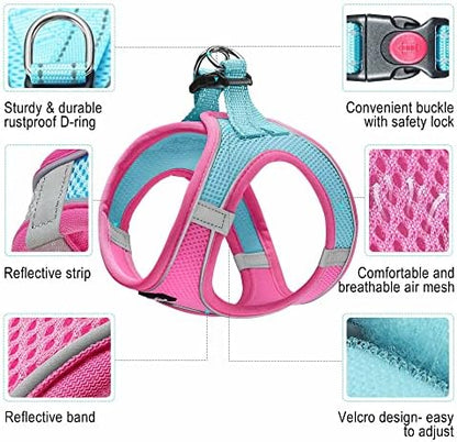 haapaw Dog Harness with Leash Set, No Pull Adjustable Reflective Step-in Puppy - Image 2