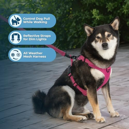 Voyager Dog Harness Dual Leash Attachment No-Pull Control Adjustable Soft but - Image 2