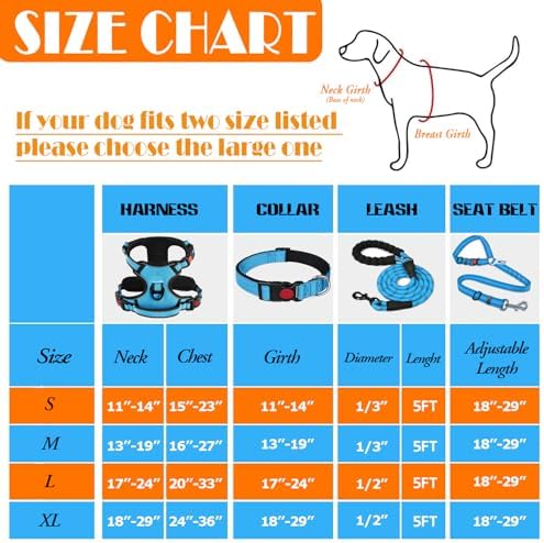 LOBEVE No Pull Dog Harness, Collar & Leash Set - Image 3