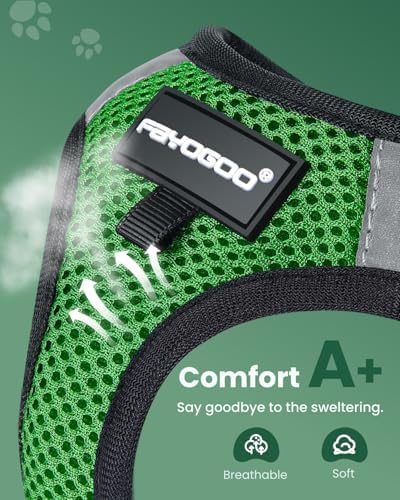 FAYOGOO Cat Harness and Leash Set, Escape-Proof Step-in Vest - Image 2