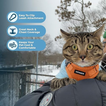 Voyager Step-in Lock Cat Harness & Leash Set - Image 5