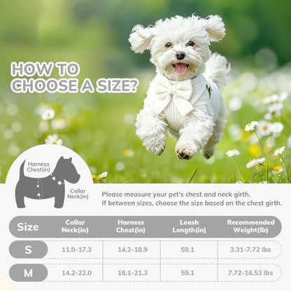Small Dog Collar Harness and Leash Set - Image 2