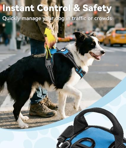 Joytale No Pull Dog Harness for Large Dogs, Front Clip, Sky Blue - Image 3