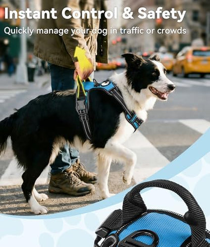 Joytale No Pull Dog Harness for Large Dogs, Front Clip, Sky Blue - Image 3