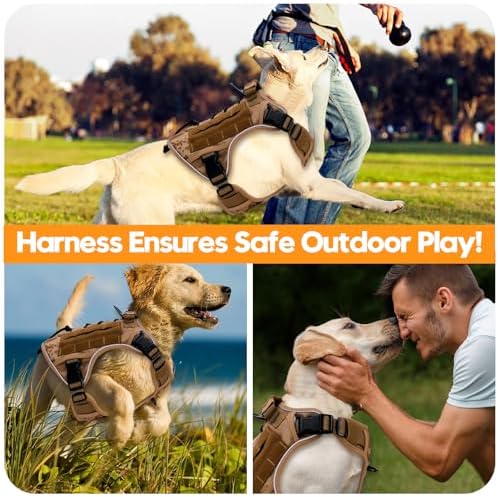 Heavy-Duty Tactical Dog Harness - Image 6