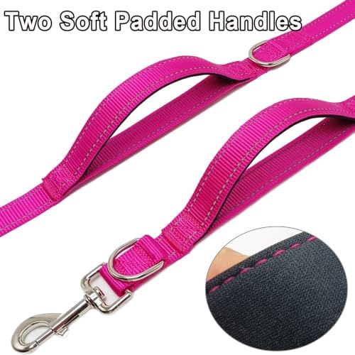 WYuZe Double Clasp 10ft Dog Leash - Image 3
