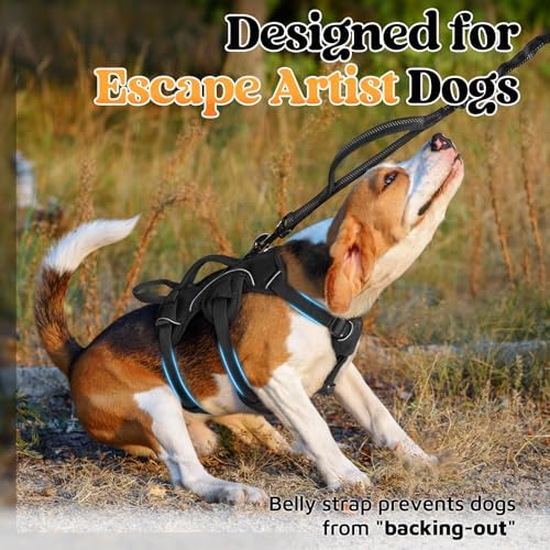 rabbitgoo Escape Proof Dog Harness - Image 2