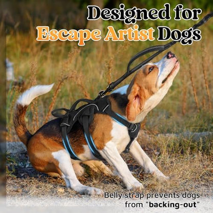 rabbitgoo Escape Proof Dog Harness - Image 2