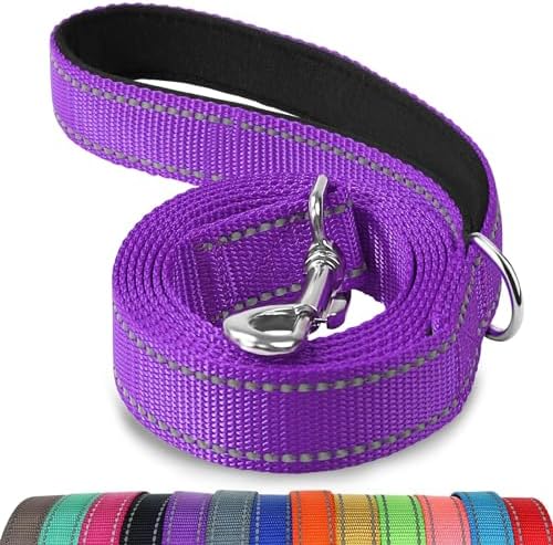 Joytale Reflective Dog Leash for Small Dogs, 4 FT x 3/4" by Joytale
