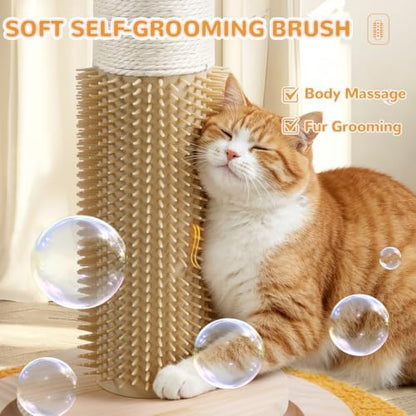 Cat Scratching Post - Image 5