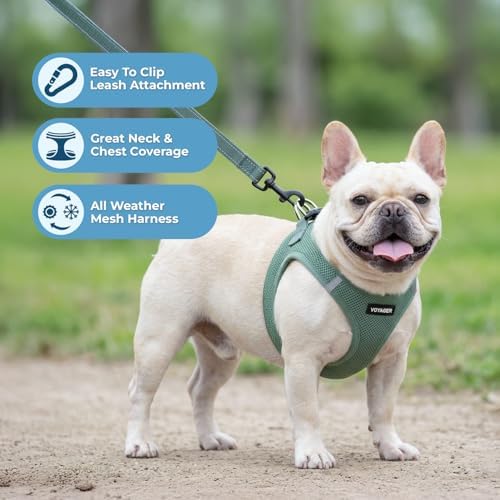Best Pet Supplies Voyager Step-in Air All Weather Mesh Harness and Reflective - Image 5