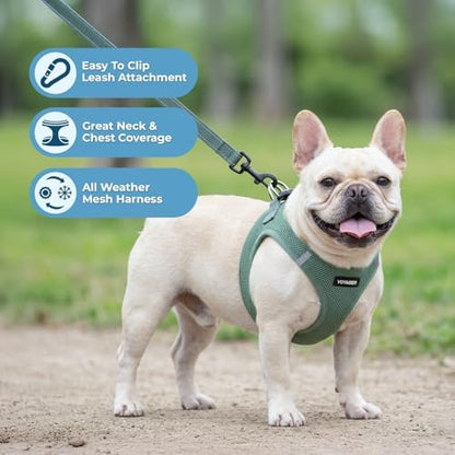 Best Pet Supplies Voyager Step-in Air All Weather Mesh Harness and Reflective - Image 5
