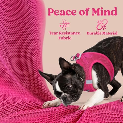 rabbitgoo Step-in Small Dog Harness, Puppy Vest - Image 5