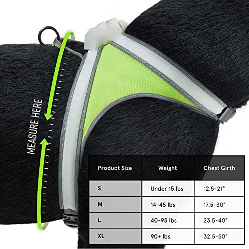 noxgear LightHound Light Up Reflective Dog Harness - Image 3