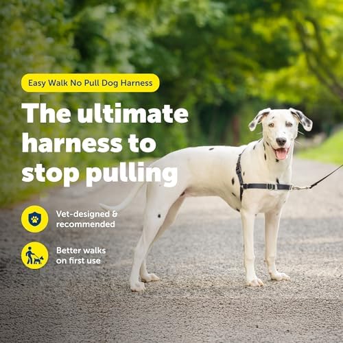PetSafe Easy Walk Harness, No Pull Dog Harness, Charcoal Gray, Medium/Large - Image 2