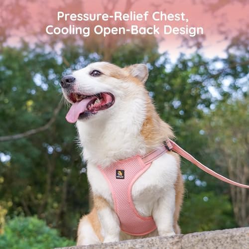 BELLA & PAL Adjustable Step-in Dog Harness, Puppy No-Pull Vest - Image 6