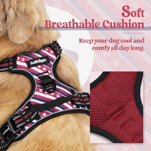rabbitgoo Dog Harness, No Pull for Large Dogs - Image 2