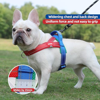 Dog Harness, No Pull Dog Harness, Adjustable Soft Harness - Image 6