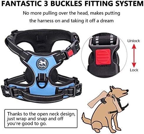 PoyPet No Pull Dog Harness Small - Image 2