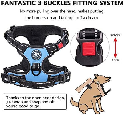 PoyPet No Pull Dog Harness Small - Image 2