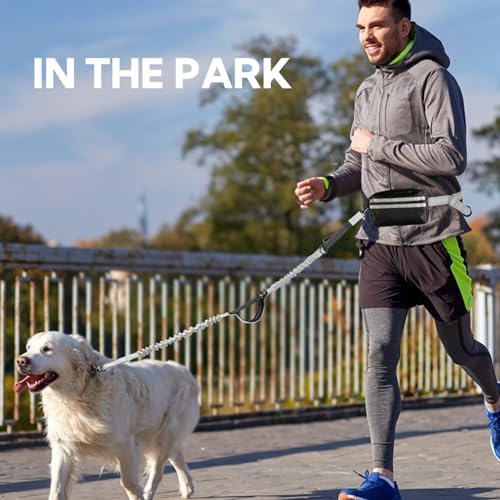 Hands Free Dog Leash with Pouch, Retractable Bungee with Double Padded Handles - Image 7