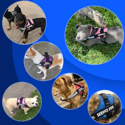 MUMUPET Custom Dog Harness Vest - Image 5