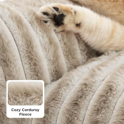 Bedsure ComfyFleece® Shown on TV Fluffy Cat Couch - Image 4