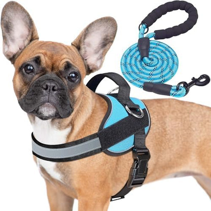 Haapaw Essential Dog Harness, No Pull Pet Vest by haapaw