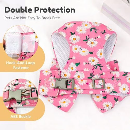 BAEJMJK Dog Harness and Leash Set - Image 7