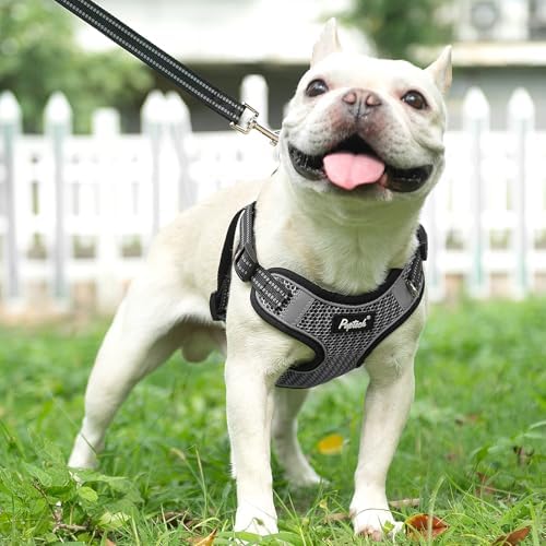 PUPTECK Dog Harness and Leash Set Medium Sized, Step in No Pull Adjustable - Image 5