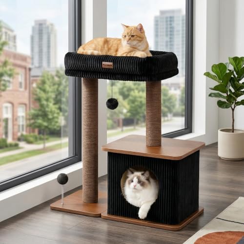 Small Cat Tree for Indoor Kittens by Purrlato