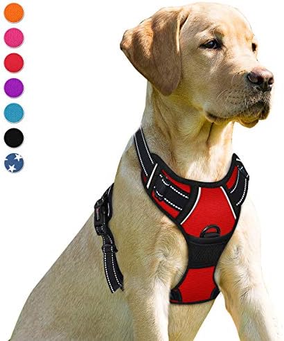 BARKBAY Dog Harness No Pull for Large Dogs Front Back Clips, Dog Vest by BARKBAY