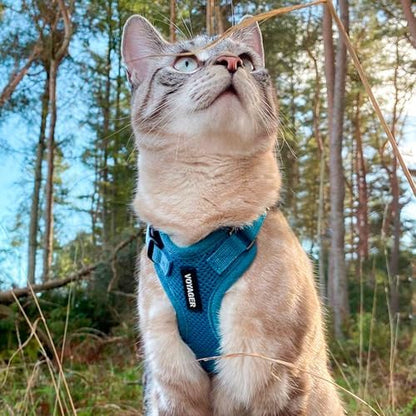 Voyager Step-in Lock Cat Harness & Leash Set - Image 6