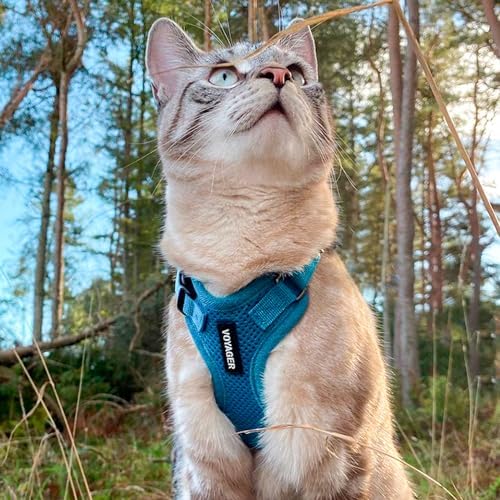 Voyager Step-in Lock Cat Harness & Leash Set - Image 6