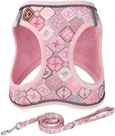 Mihqy Step in Dog Harness and Leash Set, Soft Breathable Mesh by Mihqy