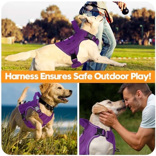 Heavy-Duty Tactical Dog Harness - Image 6
