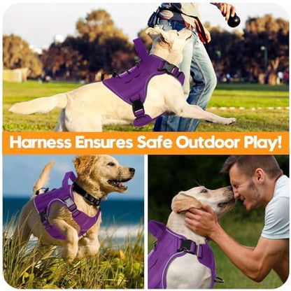 Heavy-Duty Tactical Dog Harness - Image 6
