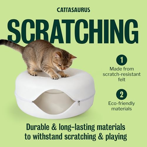 Cattasaurus Peekaboo Cat Cave Donut - Image 3