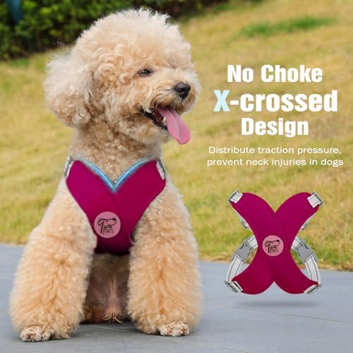 Pawaboo Small Dog Harness and Leash Set, Puppy Harness X-Frame Adjustable - Image 3