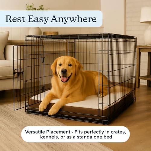 Orthopedic Dog Bed - Image 6