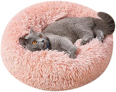 Large Cat Beds for Indoor Cats - Image 6