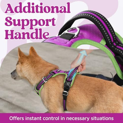 rabbitgoo Dog Harness Small Sized, No Pull 3 Buckles Easy On & Off - Image 3
