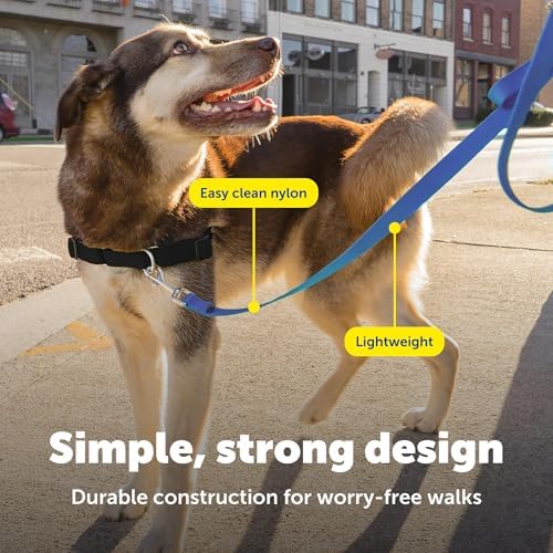 PetSafe Nylon Dog Leash - Image 4